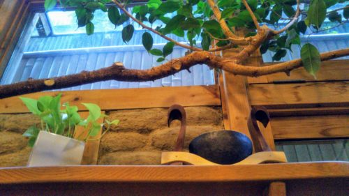 つぶつぶカフェ店内装飾