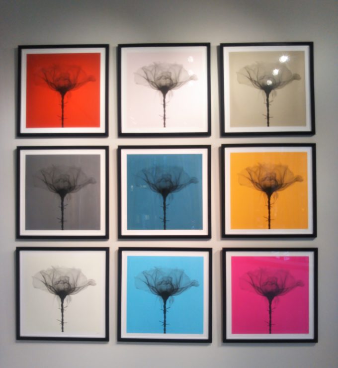 bally銀座 SHOK-1展示作品thornsはカラフルな色合いが美しい